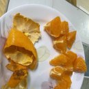 순연농장 이미지