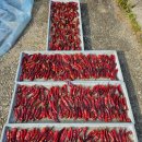 무너미농장 이미지