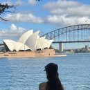 (주)와이즈박스 | 호질랜드2 | 시드니 신혼여행 (미세스맥쿼리 포인트, 타롱가 동물원, 싱글오, 에르메스, 샤넬, 시드니...