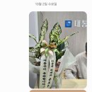 대통국어학원