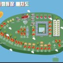 상아골계곡오토캠핑장 이미지