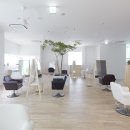 THE DOG SALON 이미지