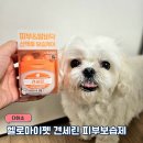 헬로펫 | 다이소제품 강아지 발바닥 보습제 후기 - 헬로마이펫 견세린 피부보습