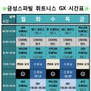 금성스파빌 이미지