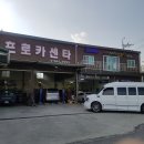 신프로카센타 이미지