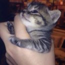 샘솟는가구백화점 이미지