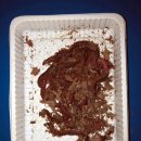 일산바다실내낚시터 이미지