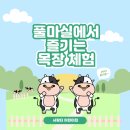 풀마실목장체험