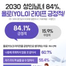 욜로 - 서귀포시 | 욜로
