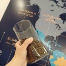 ROJIN(로진) 이미지