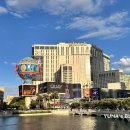 (주)폭스앤플래닛 | 캐년투어, 욜로랄라투어 1일차 - 라스베가스 플래닛 할리우드 리조트 앤 카지노 숙박 후기, 퀸침대, 수영장