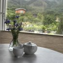 보령알프스가 이미지