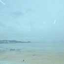 기장바다회집 이미지