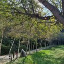 나는숲이다 이미지