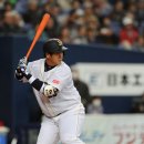19호 이미지