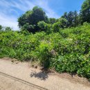 동읍스카이공인중개사사무소 이미지