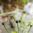 곡정초등학교 이미지