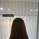 위드유붙임머리