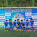 에스비스포츠 이미지