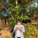 진잠동주민센터 | 한국관광공사_대전충남지사 가봄 *중간 간담회* 후기(국립 대전 숲체원/ 소제동 동북아)