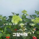 그달아래 이미지