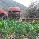 만세동농장 이미지