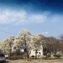 폴라리스키즈펜션 이미지