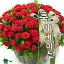 해운대거리 이미지