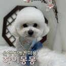 몽몽미용실 이미지