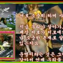 민들레세상 이미지