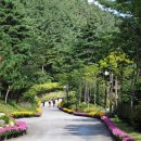 바우길 15구간 이미지