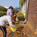 영도초등학교 이미지