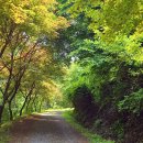 별천지공원 이미지