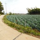 송시마을회관 이미지