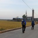 회현면사무소 이미지