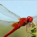 태봉공인중개사사무소 이미지