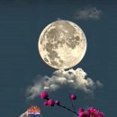 찰떡 궁합 이미지