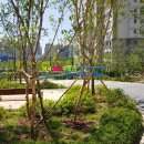 미사e편한세상공인중개사사무소 이미지