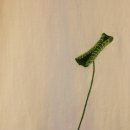 바늘꽃공방 이미지