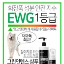 샴푸하는 강아지 이미지