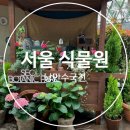 서울식물원 낭만수국전 온실 수국 개화 상황 푸드코트