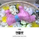 문경새재반려동물힐링센터(젠틀펫파라다이스) | 경북 울산 강아지 장례식장 젠틀펫