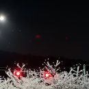 안양역 앞(2) 이미지