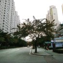 효자사랑약국 이미지