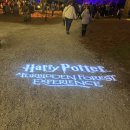 forest | Harry potter: forbidden forest in Cincinnati 후기