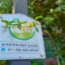 창넓은펜션 이미지