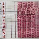 통배 | 시험관 자연주기 6차 PGT 통배 이식 후기 | 피검 수치와 더블링 과정 기록