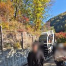 단풍꽈배기 | 경기근교 11월 가을 화담숲 등산 9시 오픈런 모노레일 카페 꽈배기 먹은 후기