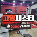 고잉패스터 이미지