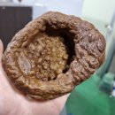 재밌는미술피아노학원 이미지